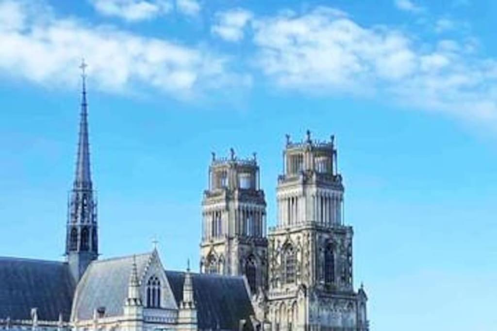 Superbe Appartement En Coeur De Ville Orleans Bagian luar foto