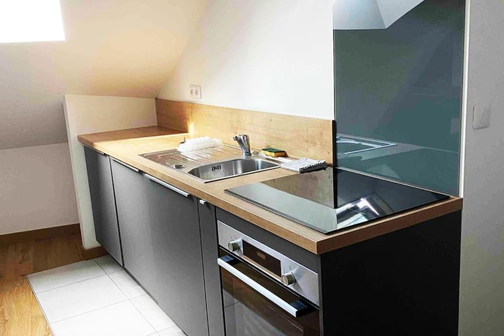 Superbe Appartement En Coeur De Ville Orleans Bagian luar foto